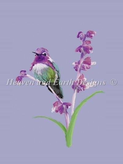Costash Hummingbird Material Pack - Click Image to Close